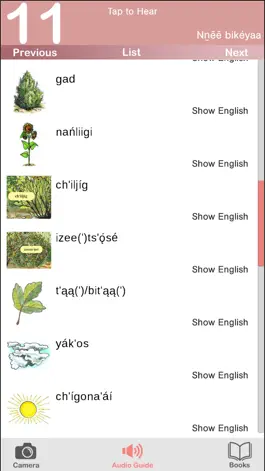 Game screenshot San Carlos Apache Media Player apk