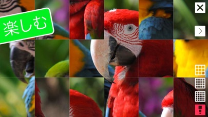 動物の鳴き声、写真、情報 .のおすすめ画像5