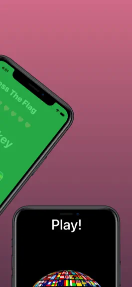 Game screenshot Guess The Flag - Flag Quiz hack