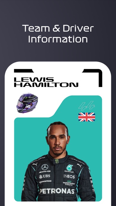 F1® Race Programme Screenshot