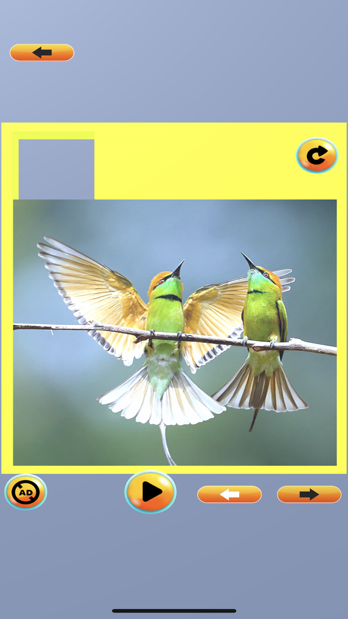 Picture Slice Puzzle