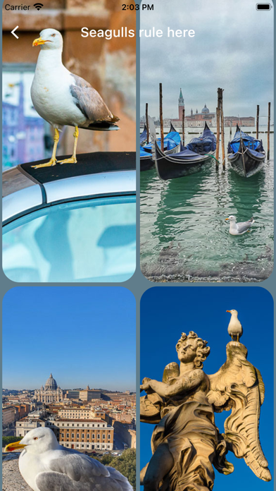 Italy Wallpapers Screenshot