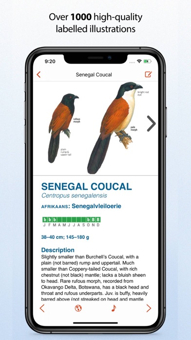 Sasol eBirds Southern Africa Screenshot