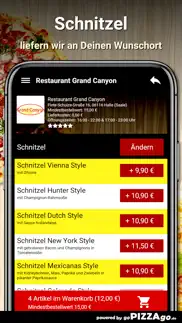 restaurant grand canyon halle problems & solutions and troubleshooting guide - 4