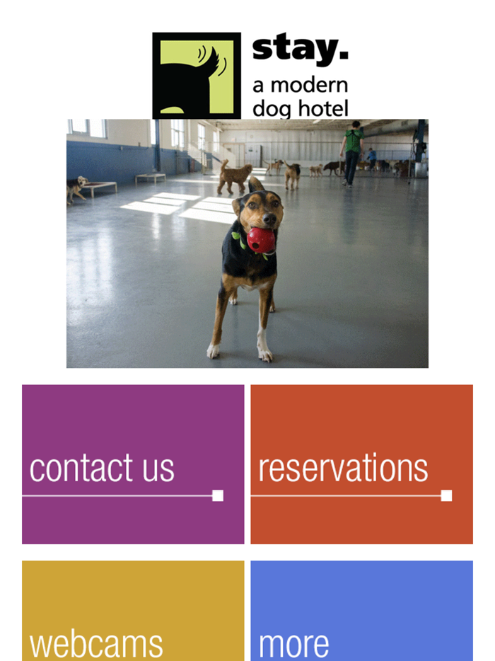 stay. a modern dog hotel