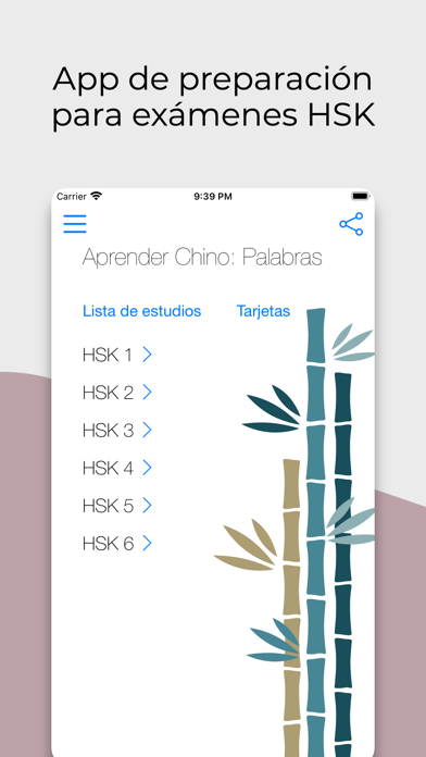 Aprender Chino: Palabras Screenshot