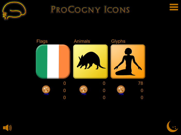 IMAGE MEMORY by ProCogny