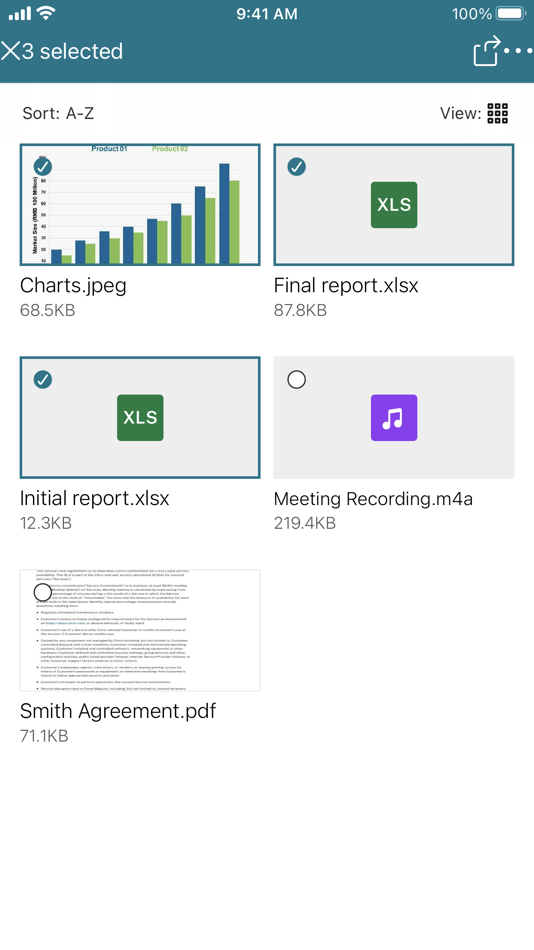 #3. Citrix Files for XenMobile (iOS) By: Citrix Systems, Inc.
