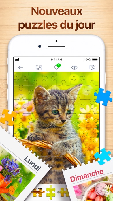 Puzzles - Casse-têtes logiques Puzzles - Casse-têtes logiques