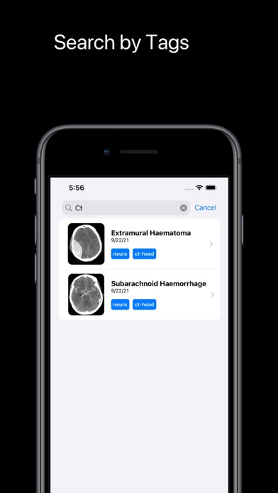 Cases Screenshot