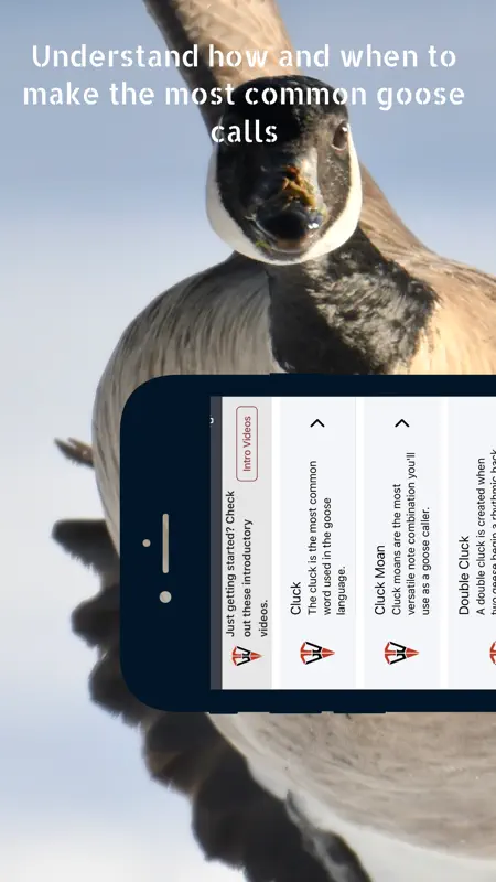 Goose Tech screenshot 2 of 10