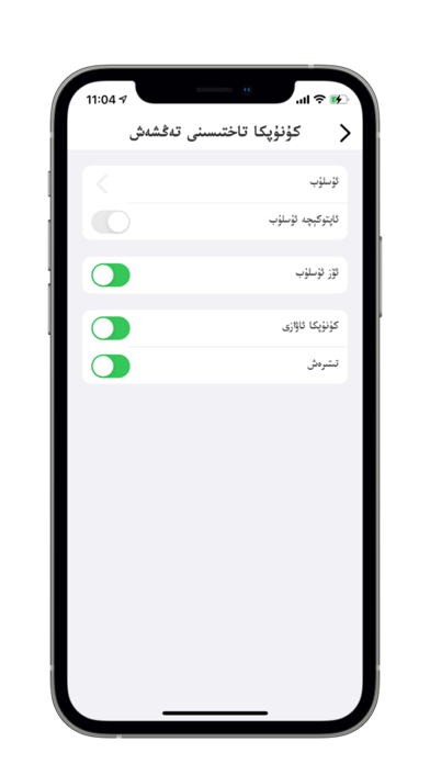 ئۆز كىرگۈزگۈچ Screenshot