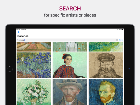 Widget Art Gallery iPad screenshot 5 - Lifestyle app