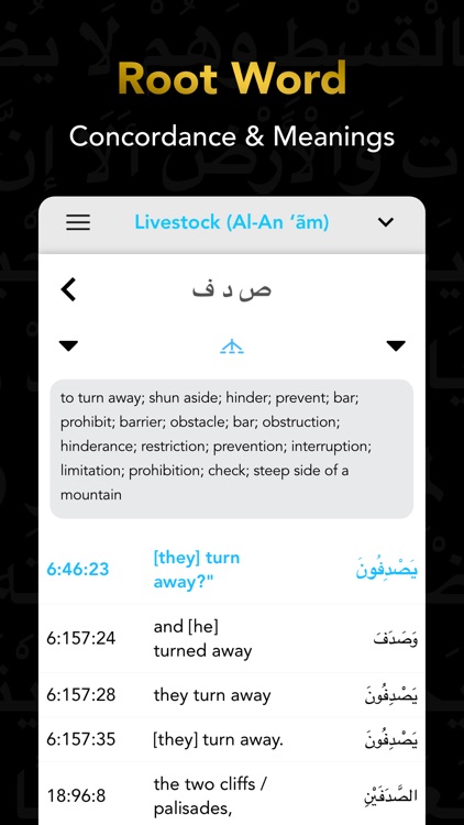 Quran Study Learn Word by Word screenshot-5