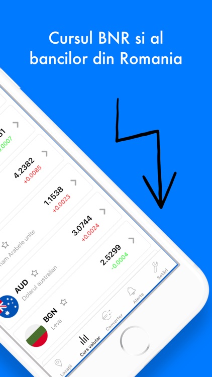 Cursul Valutar Romania