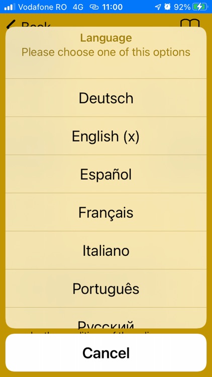 Renault UltraCam screenshot-9
