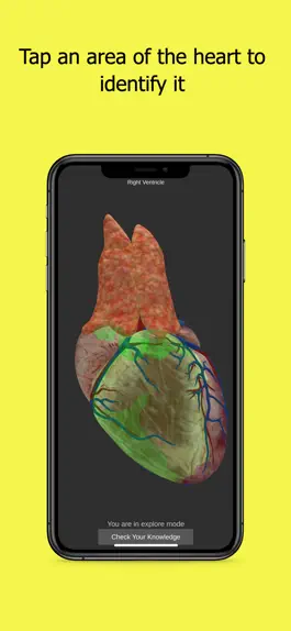 Game screenshot Anatomy Of The Human Heart apk