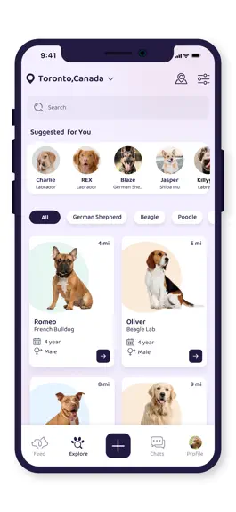 Game screenshot PetSocial hack