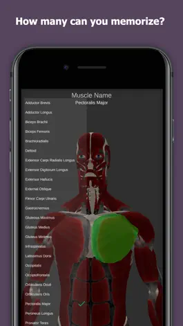 Game screenshot Anatomy Of Human Muscles hack