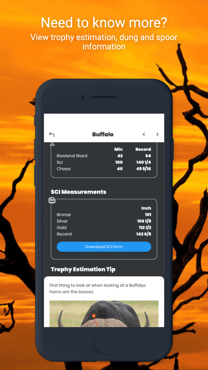 International Hunters