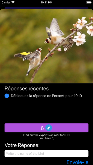 Screenshot #2 pour Identification d'oiseau