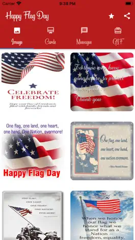 Game screenshot Happy Flag Day mod apk