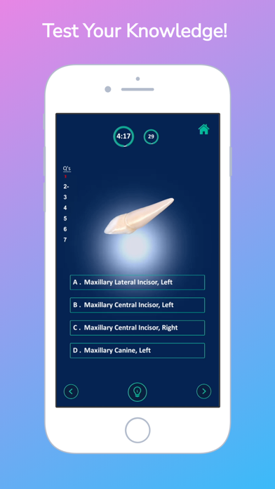 i-DENTify: Dental Anatomy Screenshot