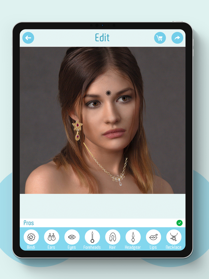 Indian Bridal Makeup Kit