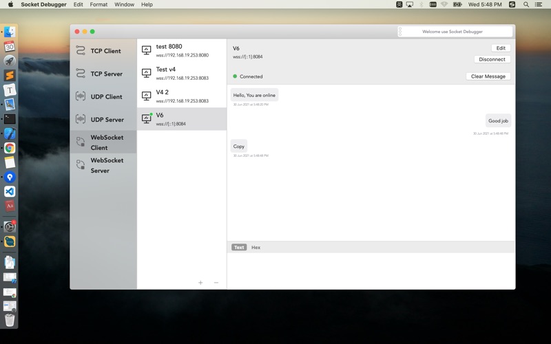 Screenshot #2 pour Socket Debugger