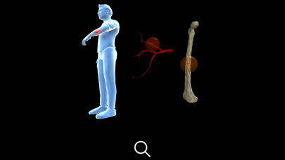 Anti-VEGF’s in DR, AMD & RVO Screenshot