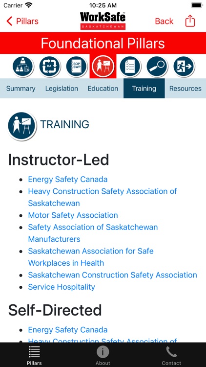 Safety  Pillars screenshot-3