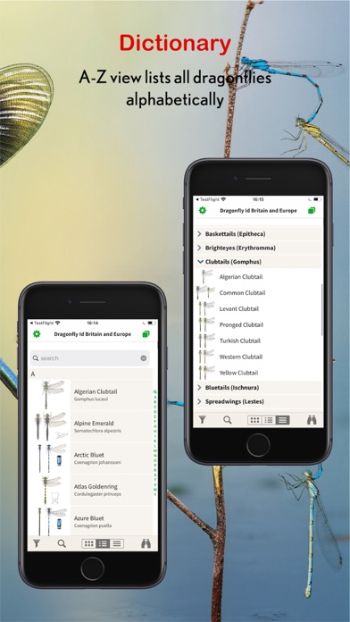 Dragonfly Id Britain & Europe Screenshot