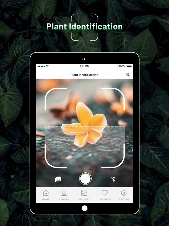 Screenshot #6 pour Identify Plant : Flower & Tree