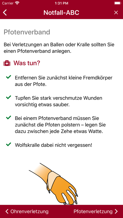 Erste Hilfe Hund Screenshot