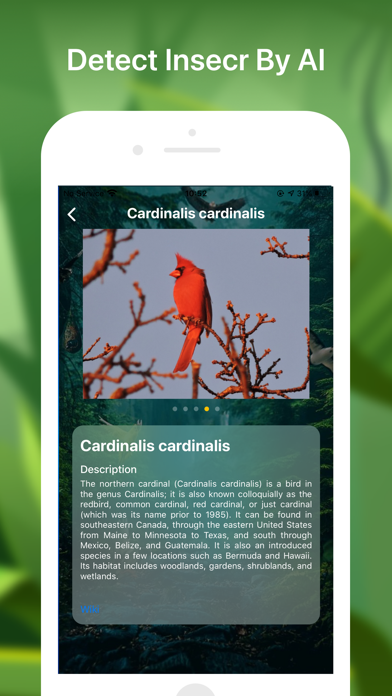 Bird identifier Bird Finder Screenshot