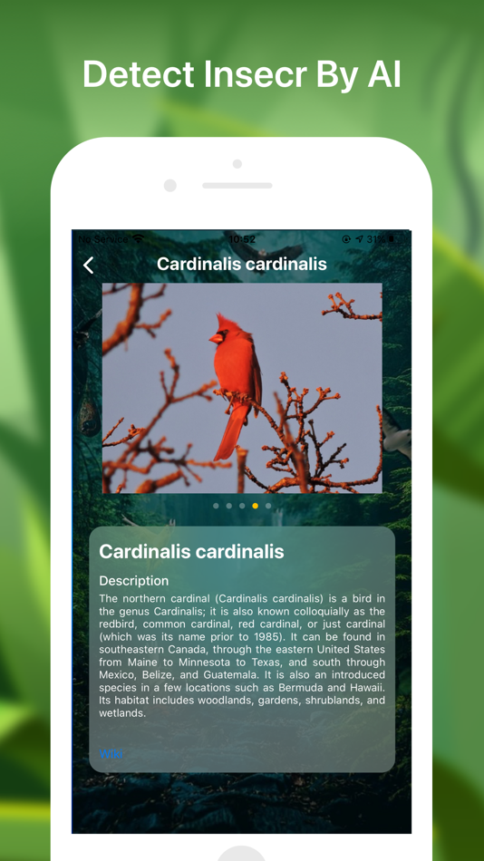 #4. Bird identifier Bird Finder (iOS) 由: Lan Duyen Vu
