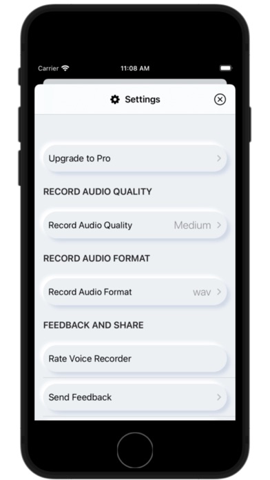 Pro Voice Recorder Screenshot