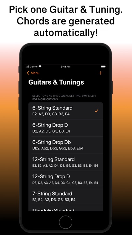 SongFolio: Chords,Tabs,Setlist screenshot-5