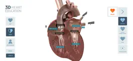 Game screenshot 3D Heart Education hack