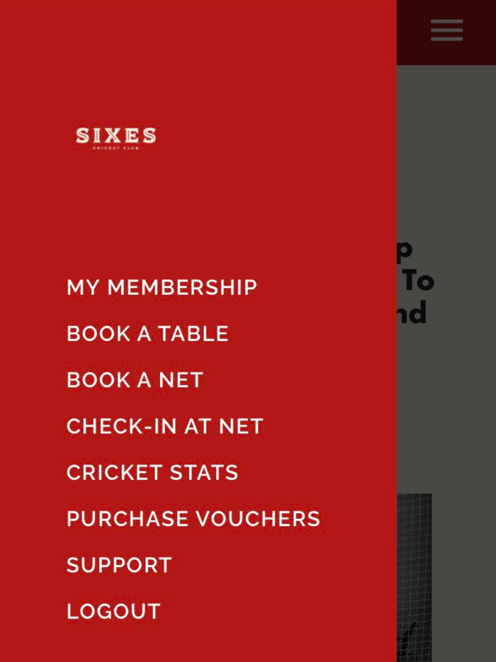 Sixes Cricket