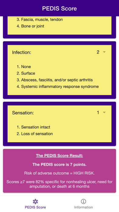 Pocket PEDIS Score Screenshot