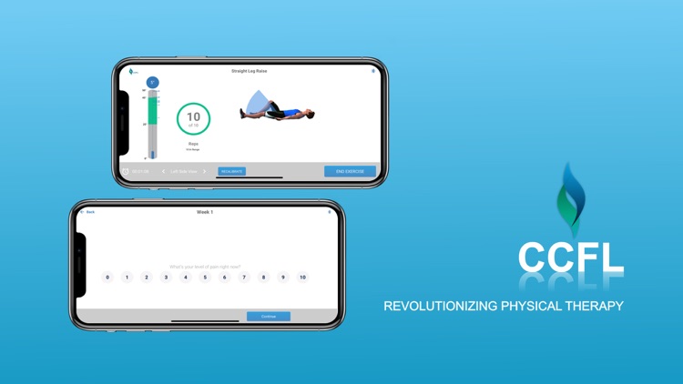 CCFL PT Genie screenshot-3