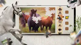 Game screenshot Jigsaw Puzzle Horses Edition apk