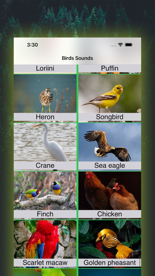 #2. 100 Bird Sounds (iOS) By: Arvinder Singh
