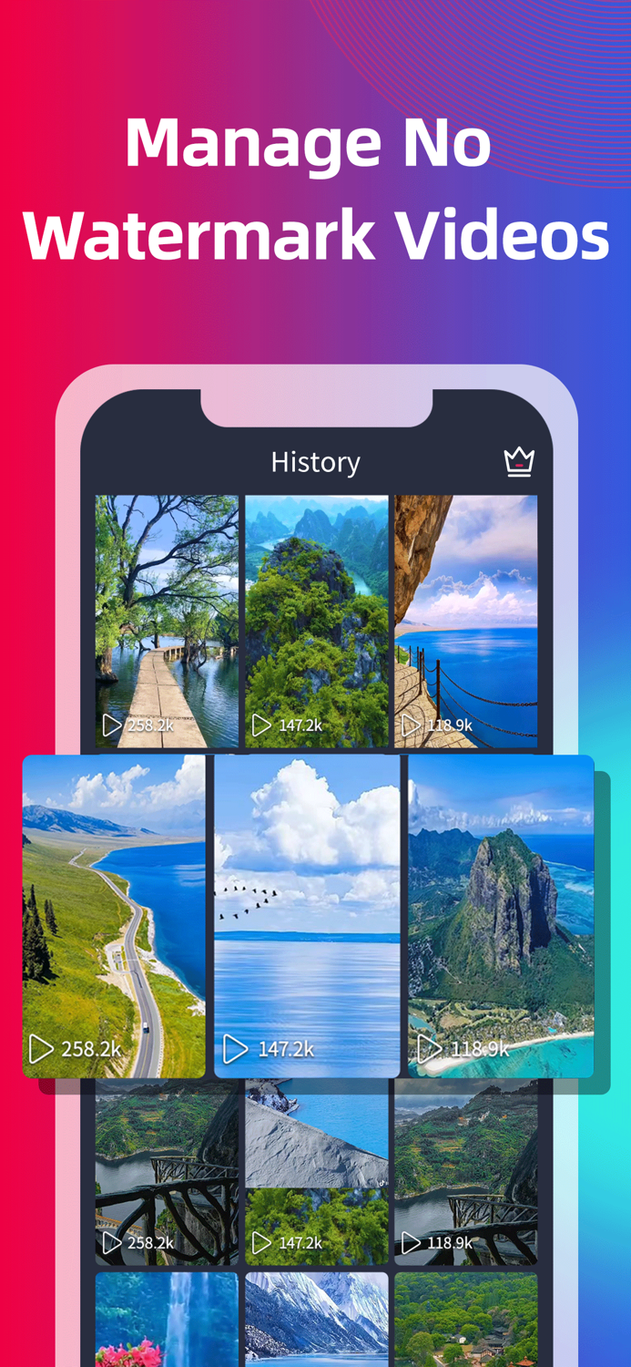 TokRepost - Remove Watermark