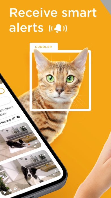 Petcube - Pet Cam & Online Vet Screenshot