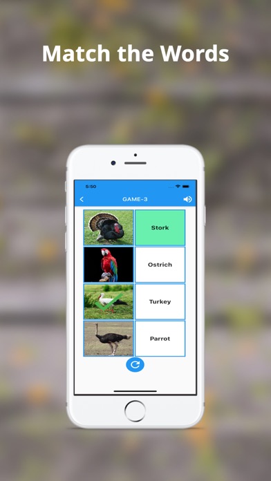 English Vocabulary-Flashcards Screenshot
