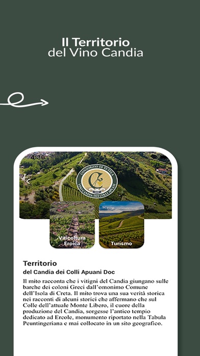 BevoCandia Screenshot