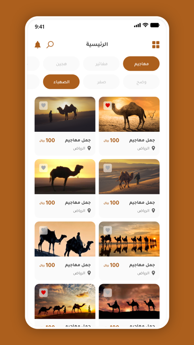 سوق الإبل Screenshot