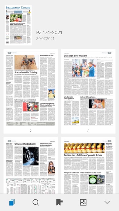 Pirmasenser Zeitung Screenshot